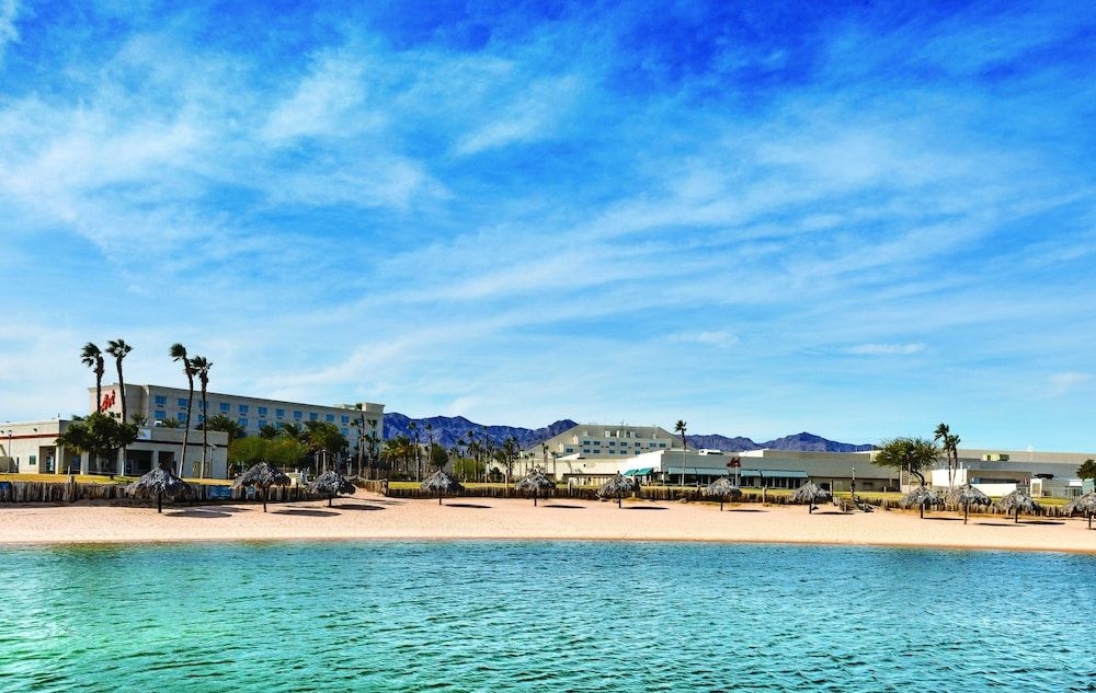 Avi Resort & Casino2