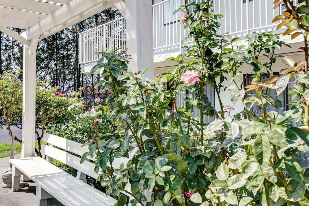 Motel 6 Grants Pass3