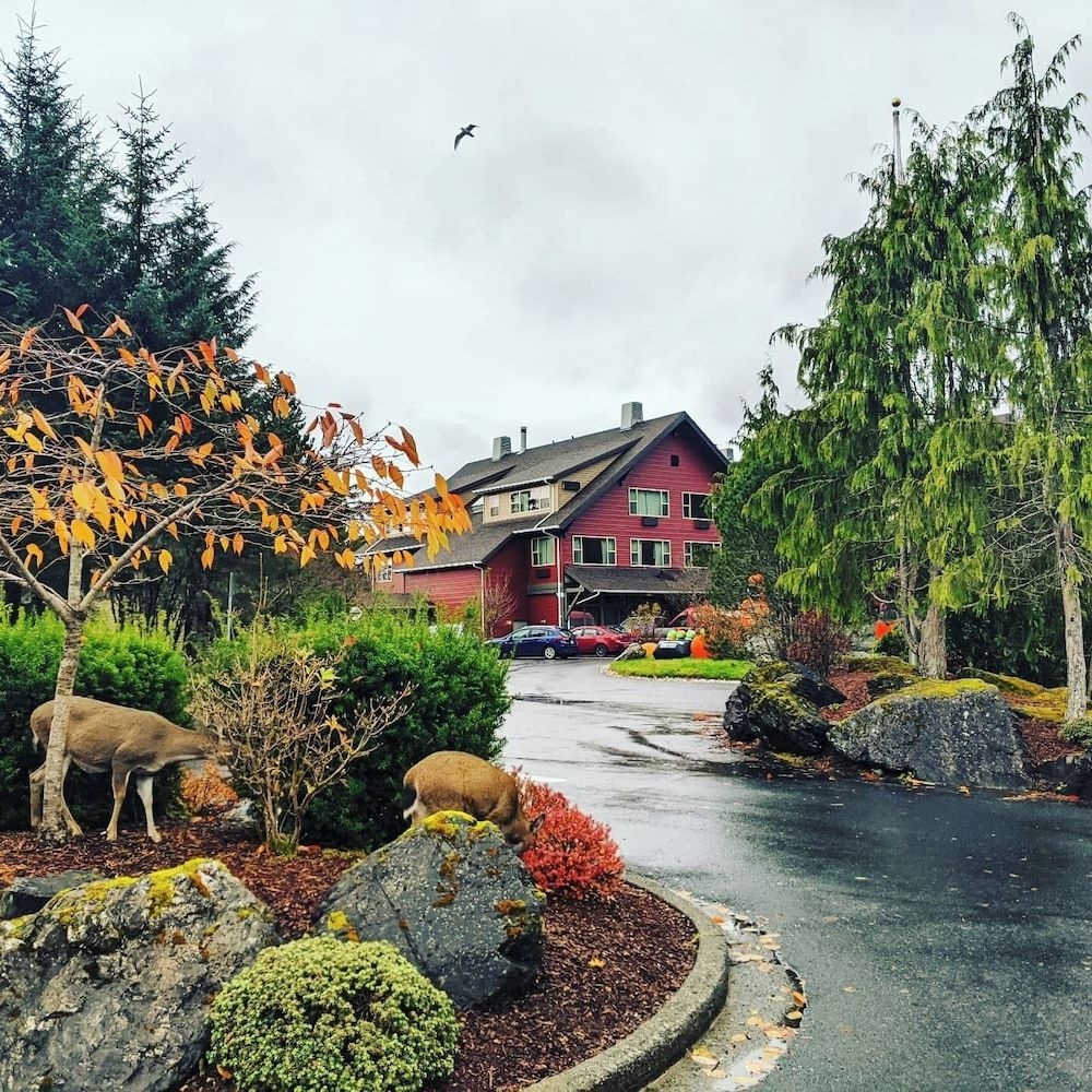 Cape Fox Lodge2