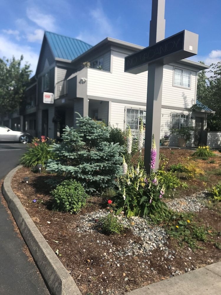 TULIP INN1