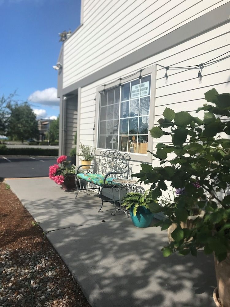 TULIP INN0