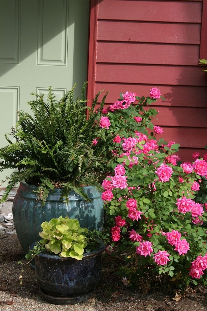 Williamsburg Manor B&B2