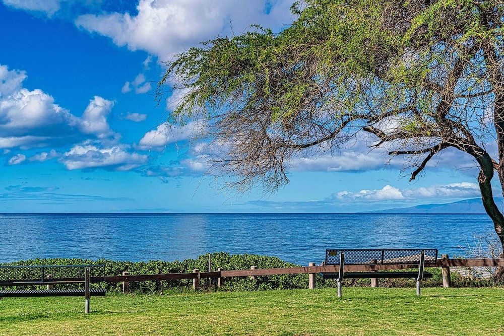 Maui Parkshore0