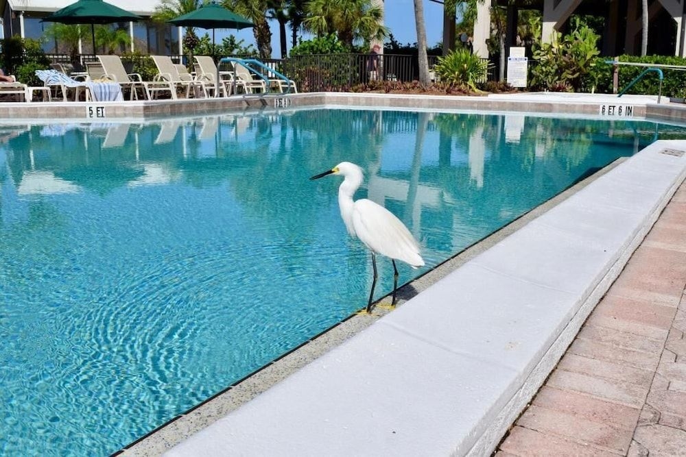 Caribbean Beach Club4