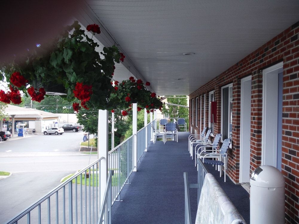 The Springs Motel3