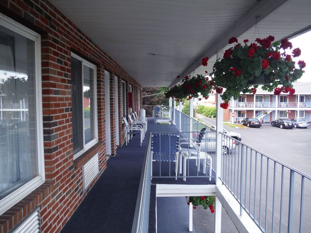 The Springs Motel4
