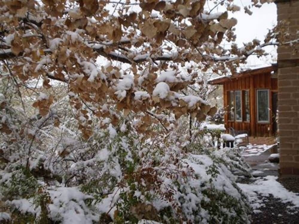 Silver River Adobe Inn4