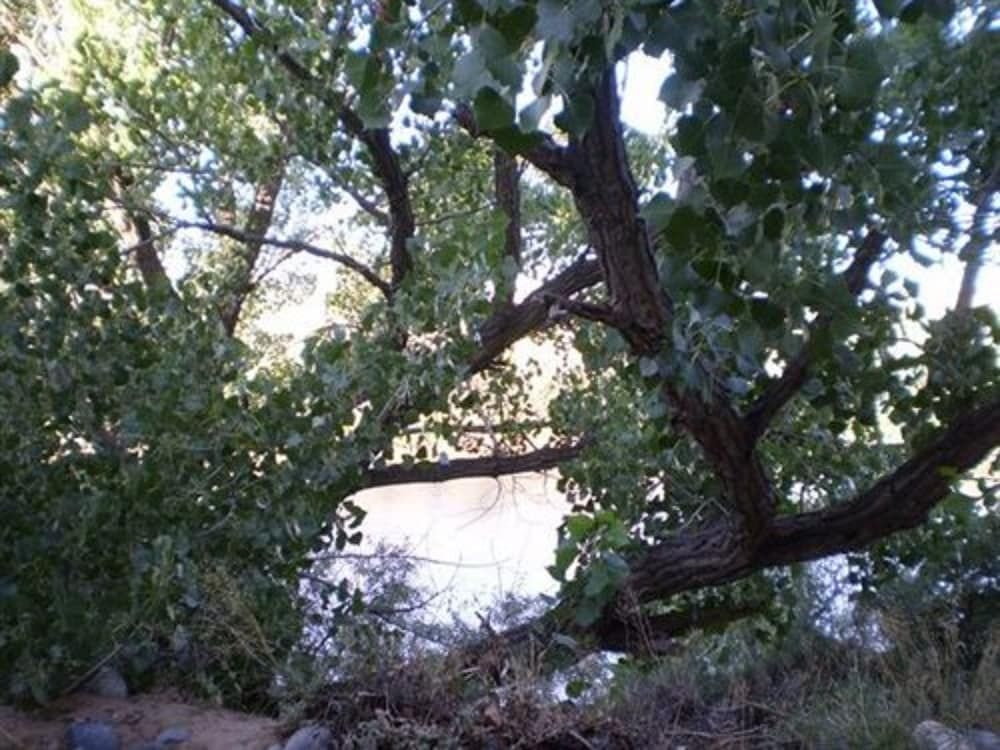 Silver River Adobe Inn0