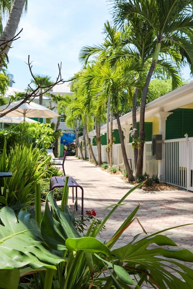 ALMOND TREE INN0