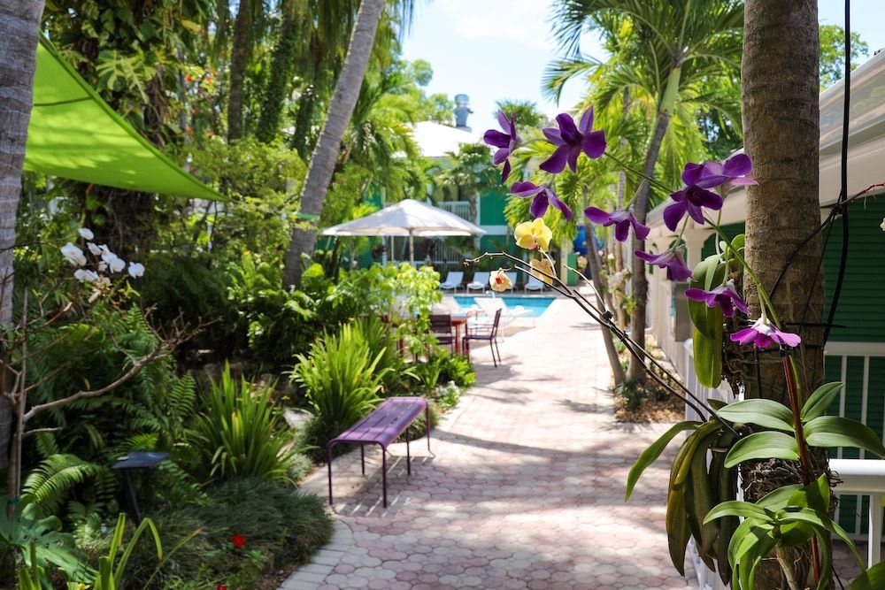 ALMOND TREE INN3