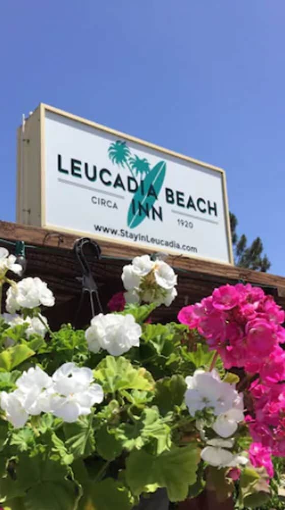 Leucadia Beach Inn4