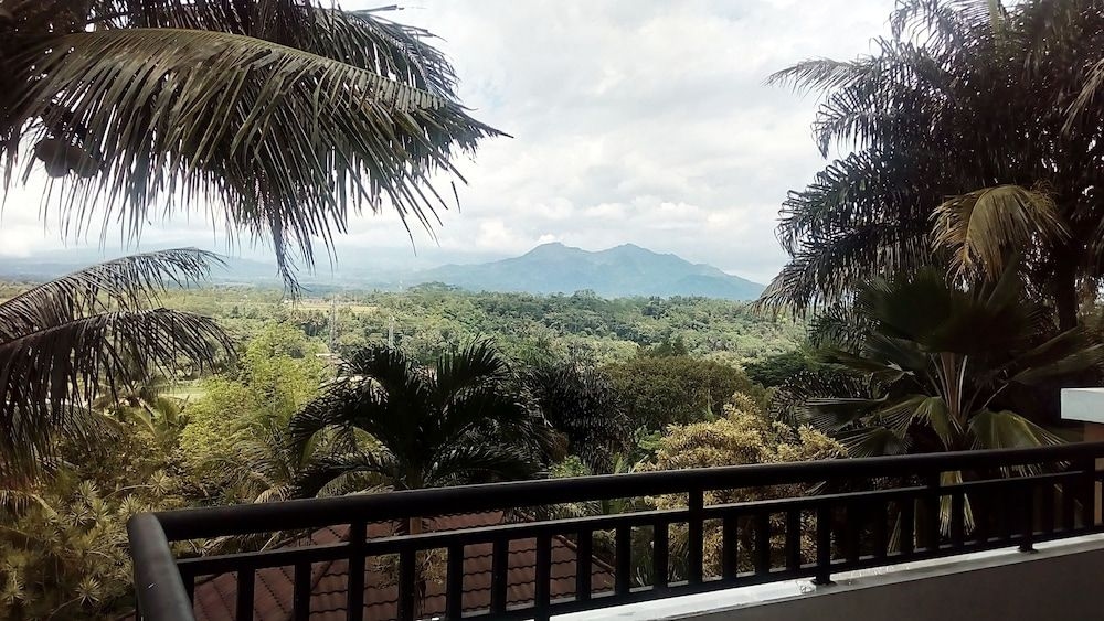 The Oxalis Regency Hotel1