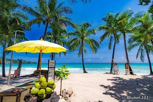 โรงแรมปริ๊นเซสกมลา บีชฟร้อนท์ (Princess Kamala Beachfront Hotel)4