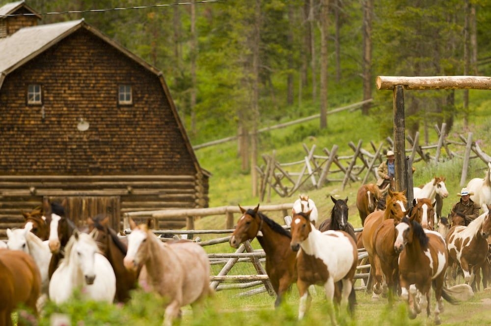 320 Guest Ranch2