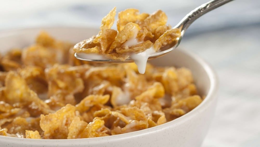 Magnuson Hotel Nashville North Rivergate Mall2