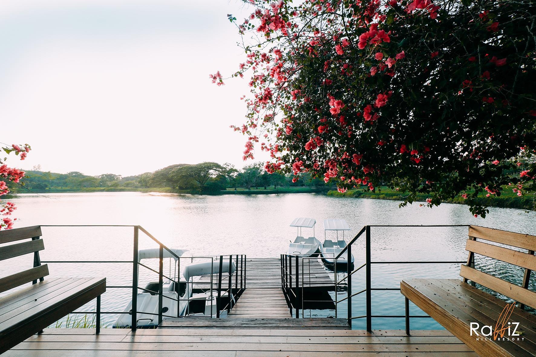 แรบบิซ ฮิลล์ รีสอร์ท (Rabbiz Hill Resort)0
