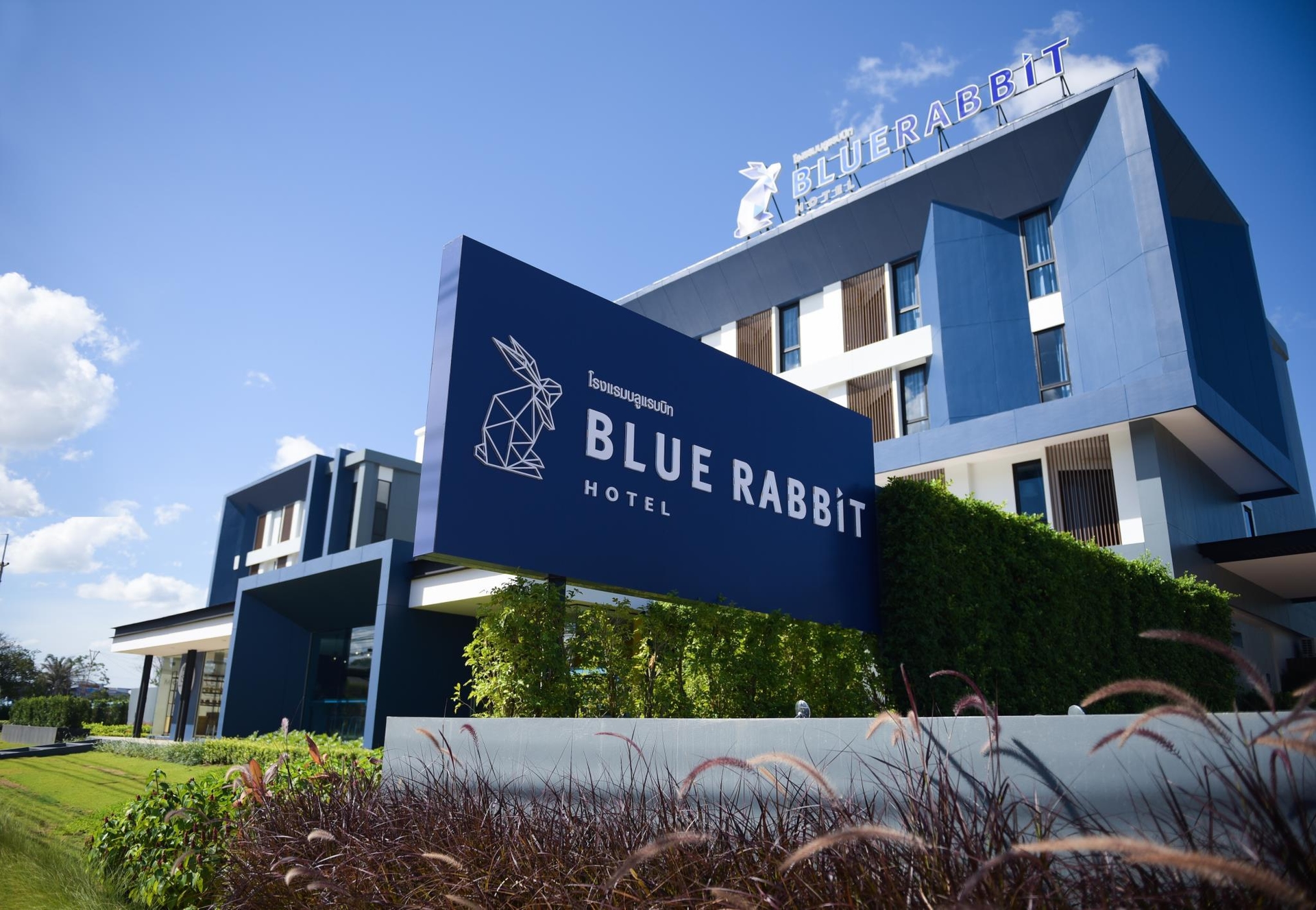 บลู แรบบิต โฮเทล (Blue rabbit hotel)0
