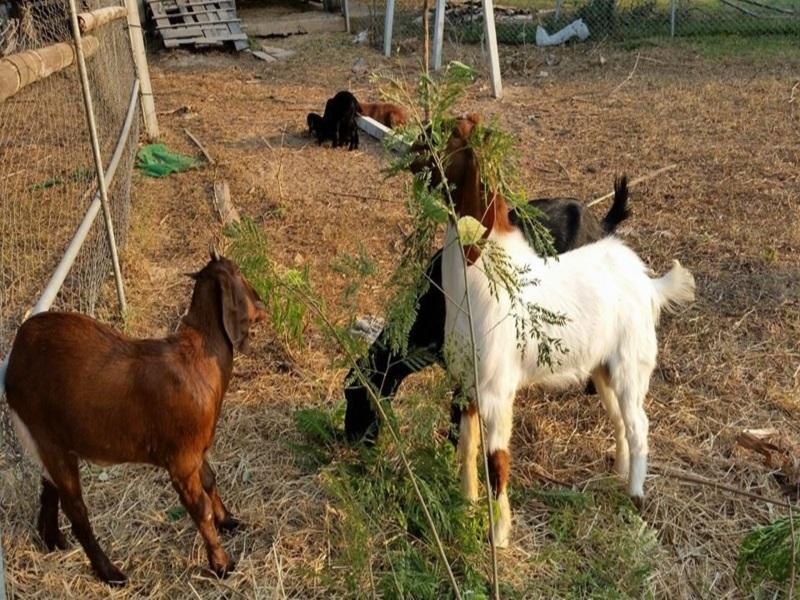 บ้านอีโคฟาร์ม (Our ECO Farm)3