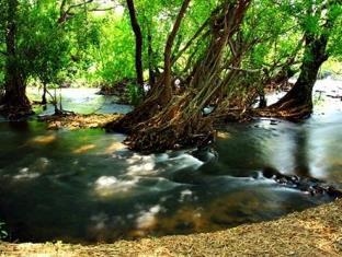 เนเชอรัล ปาร์ค รีสอร์ท เดอ วังทอง (Natural Park Resort de Wang Thong)2