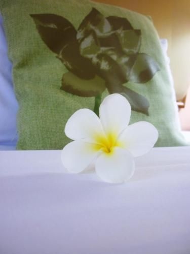 โรงแรมวัฒนาพาร์ค (Wattana Park Hotel)1