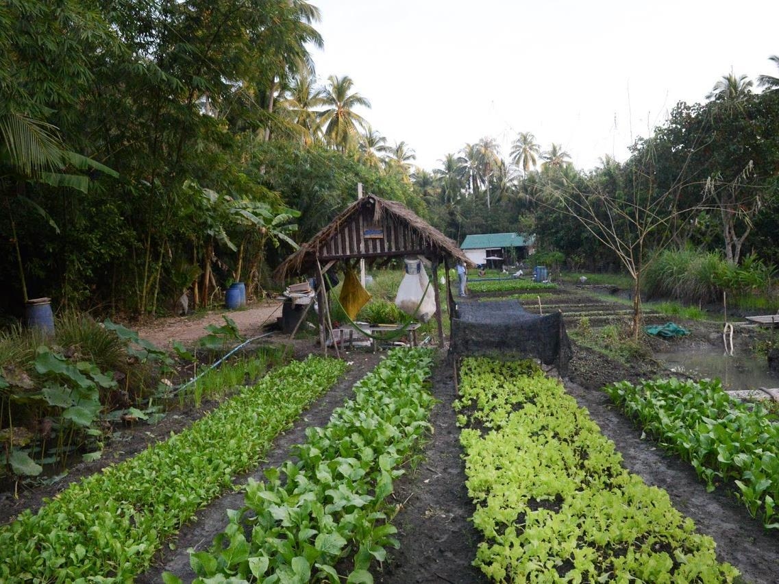 บ้านทิพย์สวนทอง (Baantip Suantong)1
