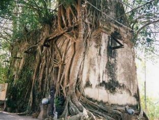 เรือนไทย บางกุ้ง รีสอร์ท (Ruenthai Bangkung Resort)4