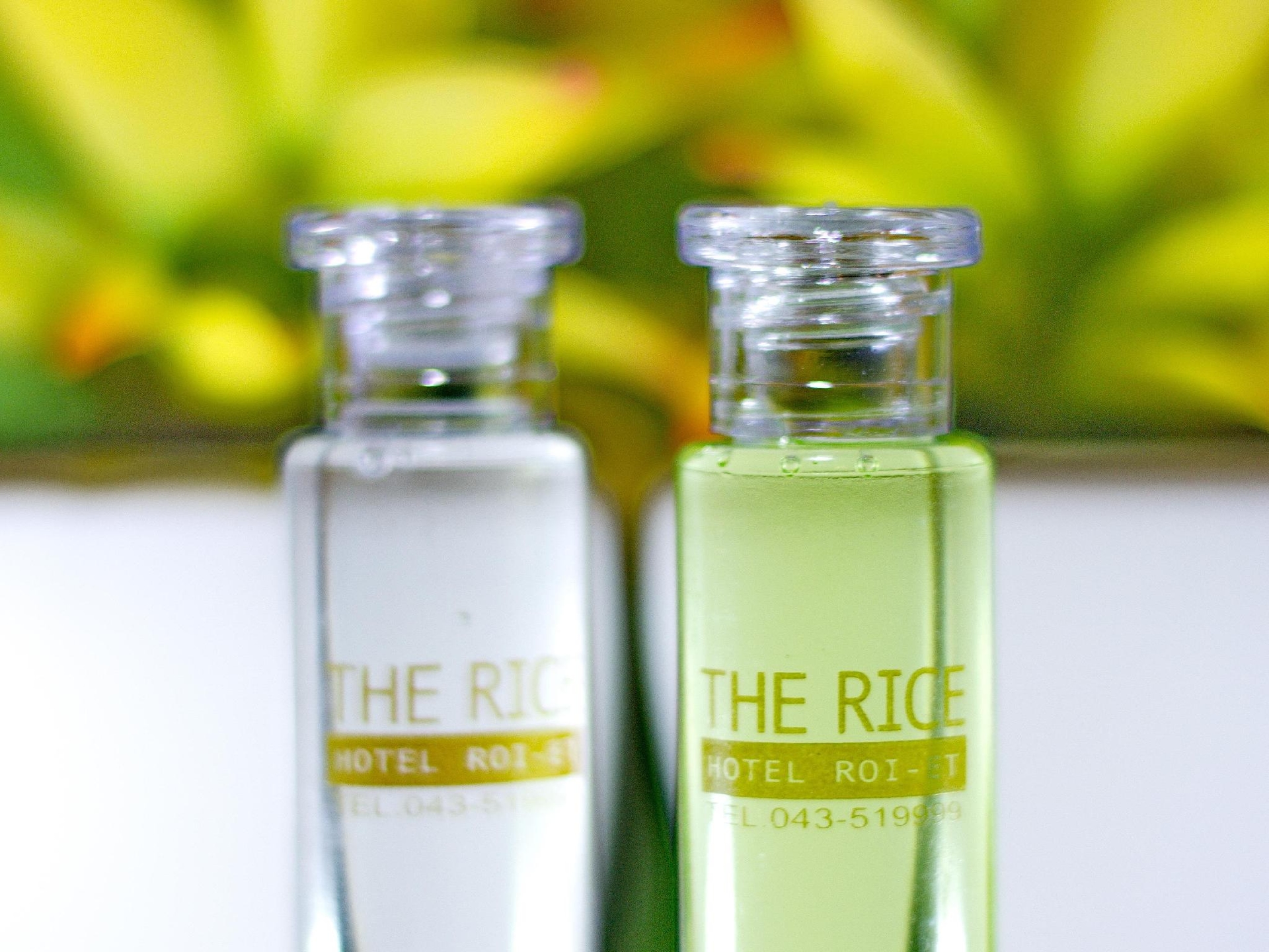 เดอะ ไรซ์ โฮเทล (The Rice Hotel)2