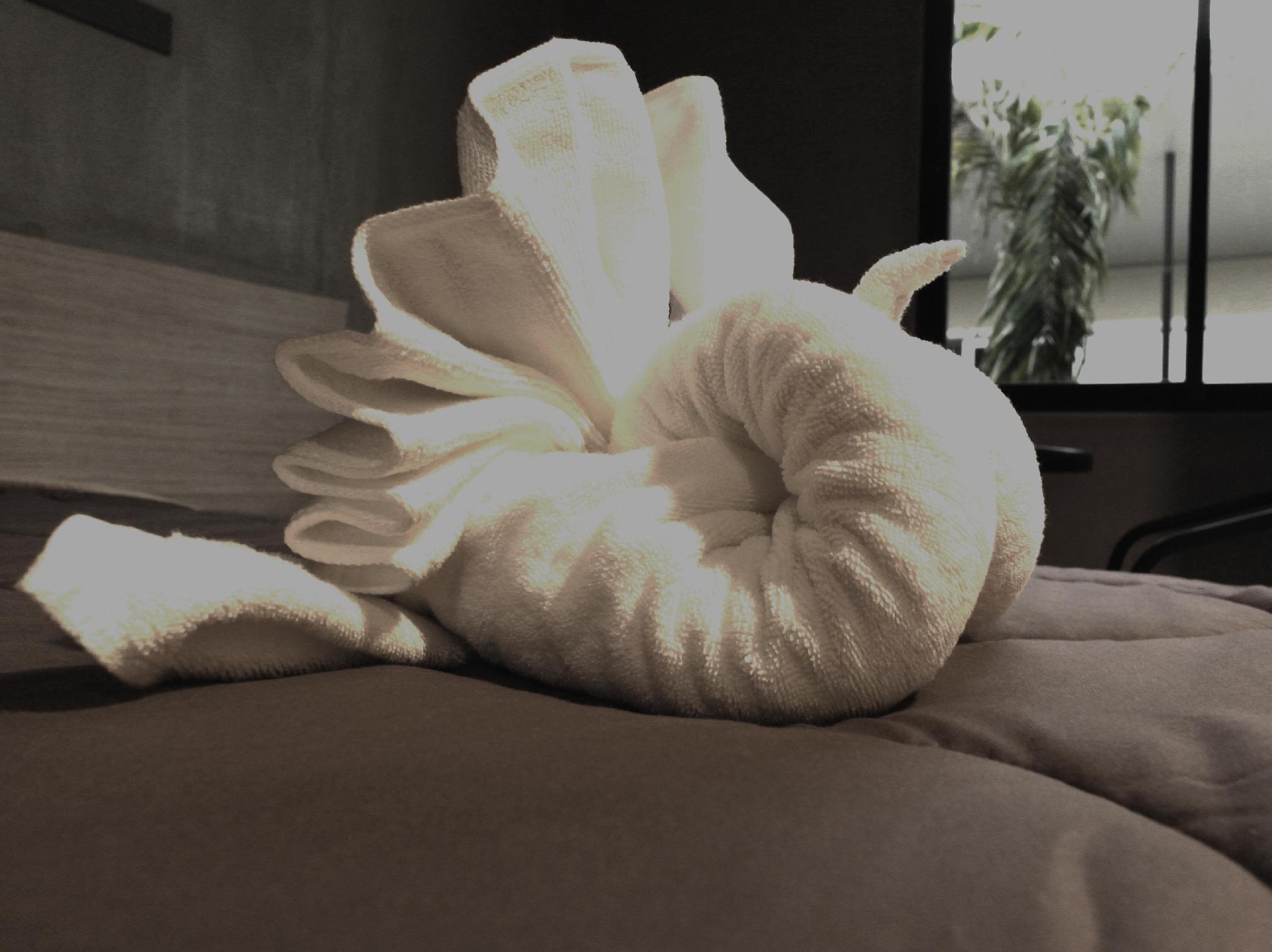 มิลา การ์เดน (Mila Garden)3