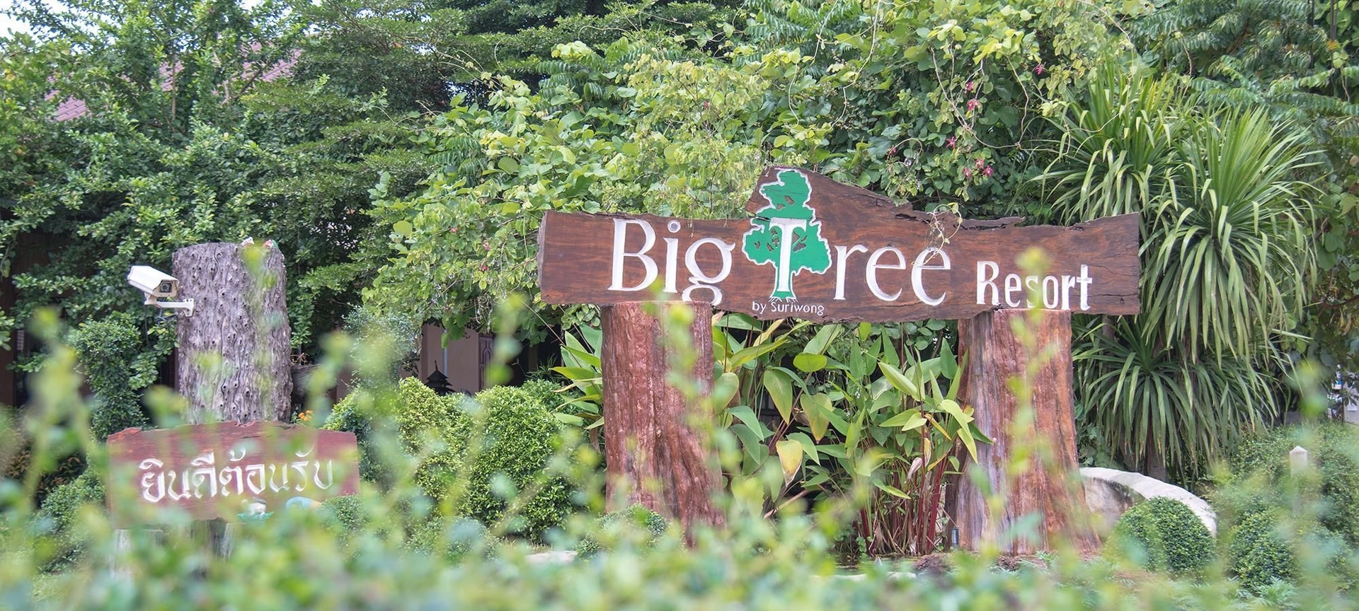 ไม้ใหญ่ รีสอร์ต (Maiyai Resort - Big Tree)1