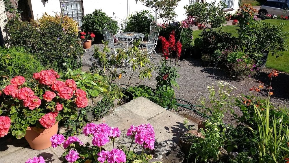Brambles Bed and Breakfast3