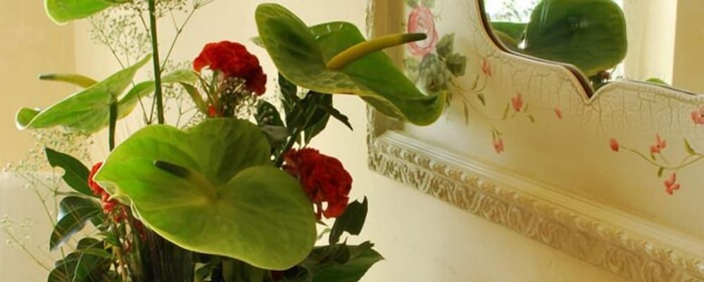 Hotel Sovrano4