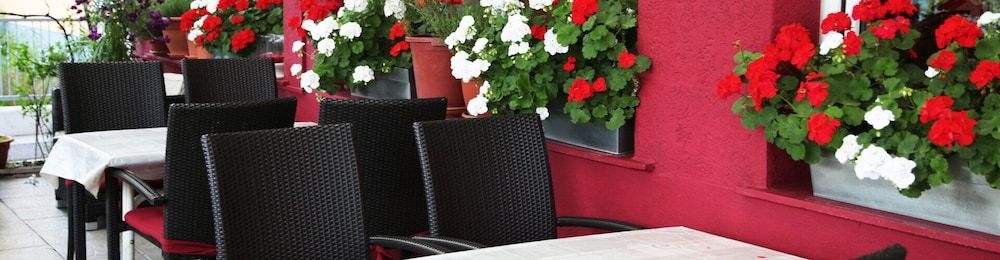 Hotel Restaurant Alexandros3