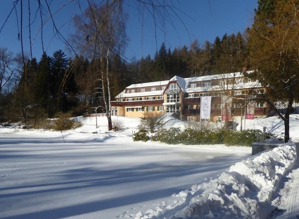 Parkhotel Bad Brambach2