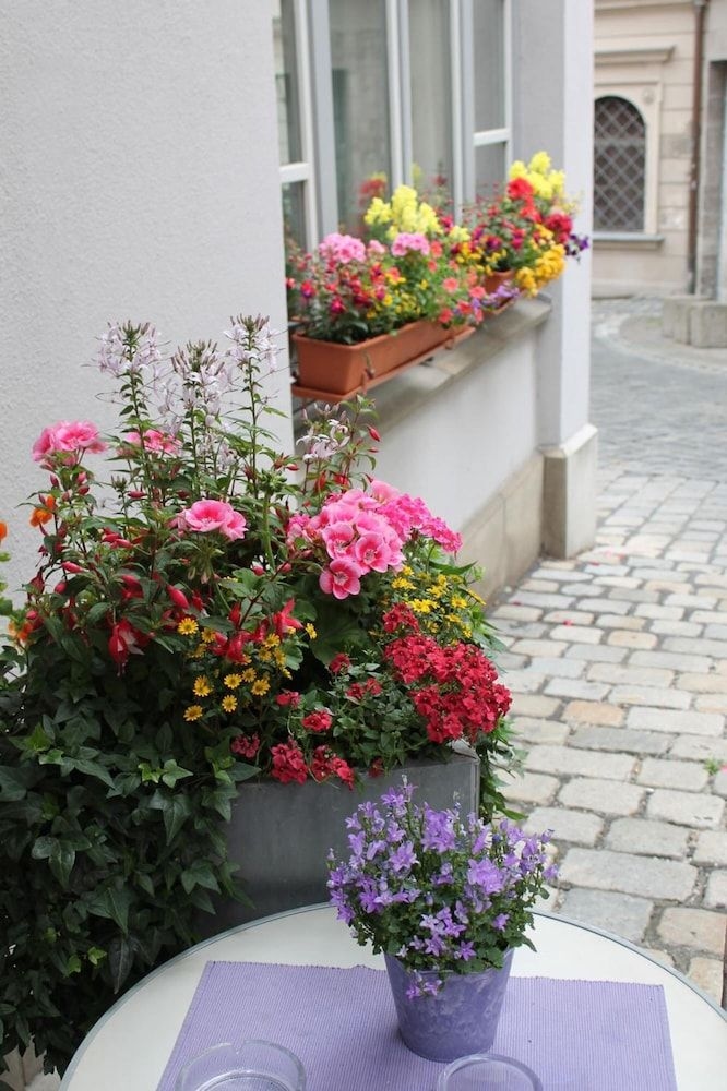 Hotel am Rathaus3