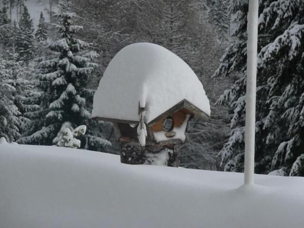 Cafe- Pension Fernblick3