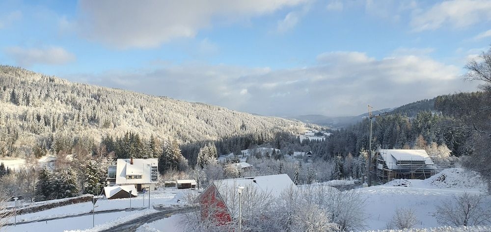 Hotel Adler Barental1