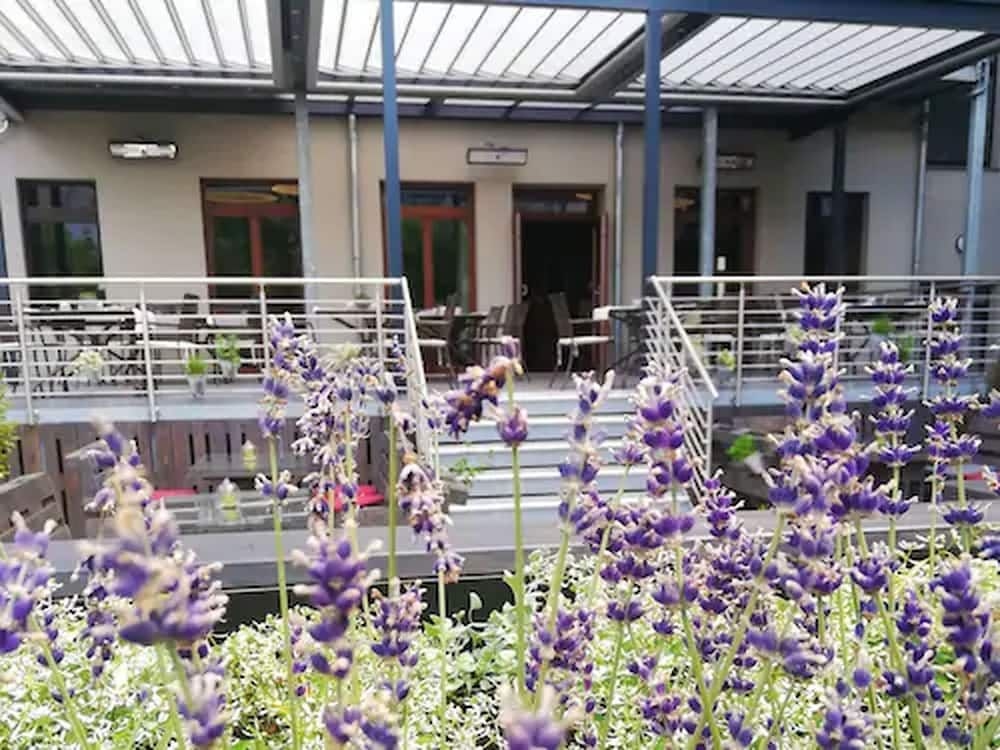 alexxanders Hotel & Boardinghouse, Restaurant3