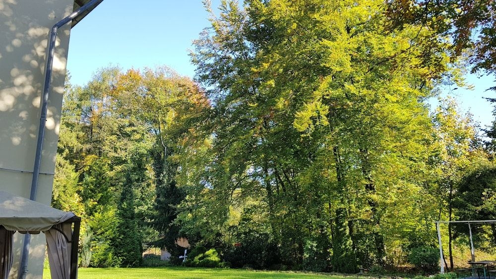 Wald-Hotel0