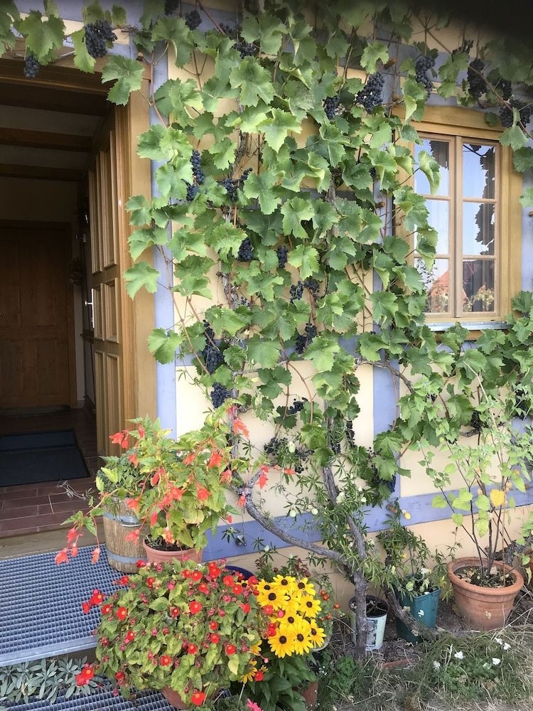 In der alten Weinstube1
