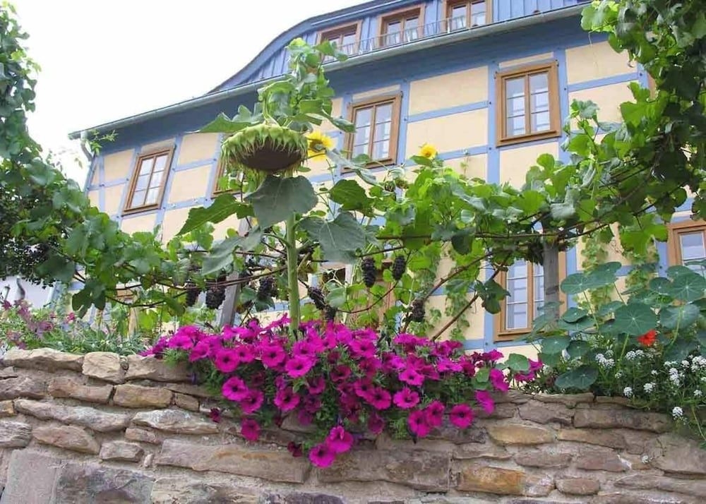 In der alten Weinstube0