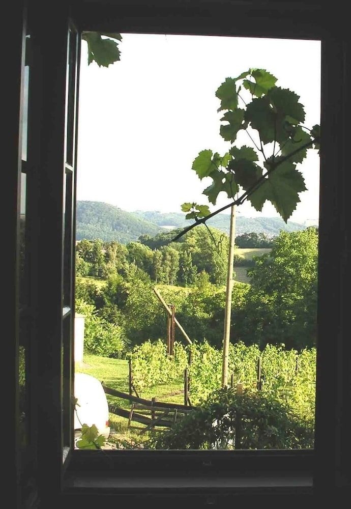 In der alten Weinstube4