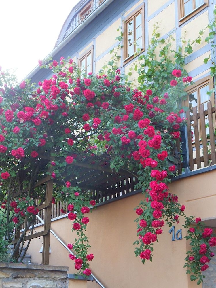 In der alten Weinstube2