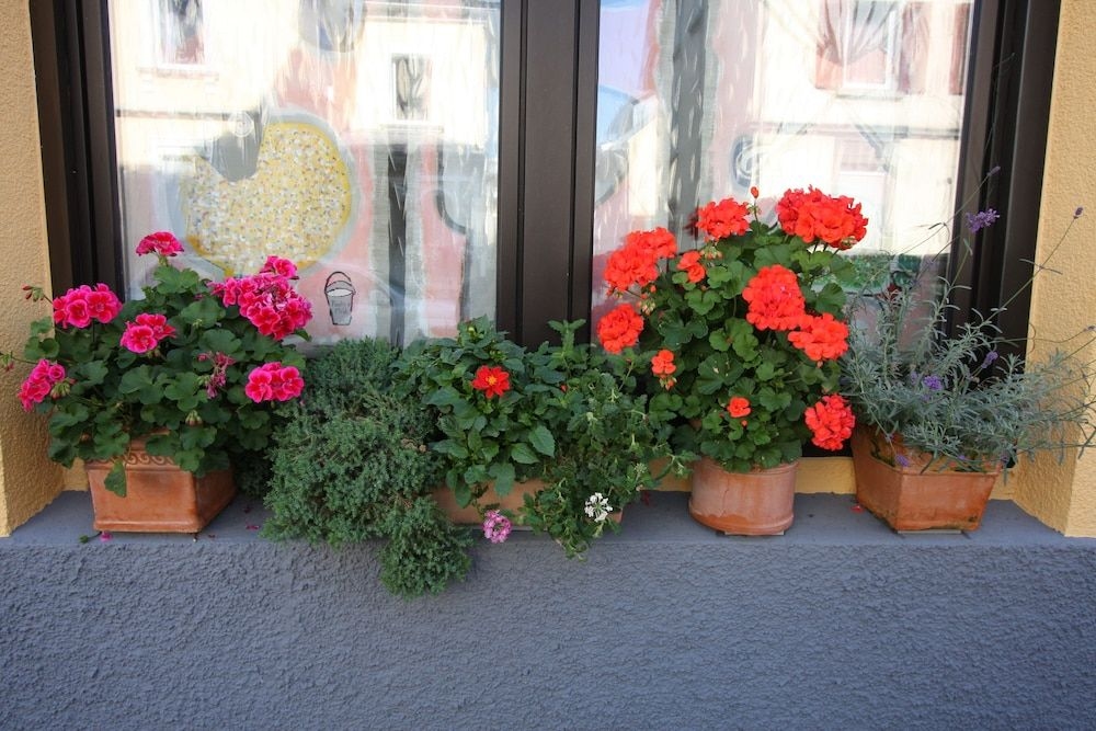 Stadthotel Kleiner Berg0