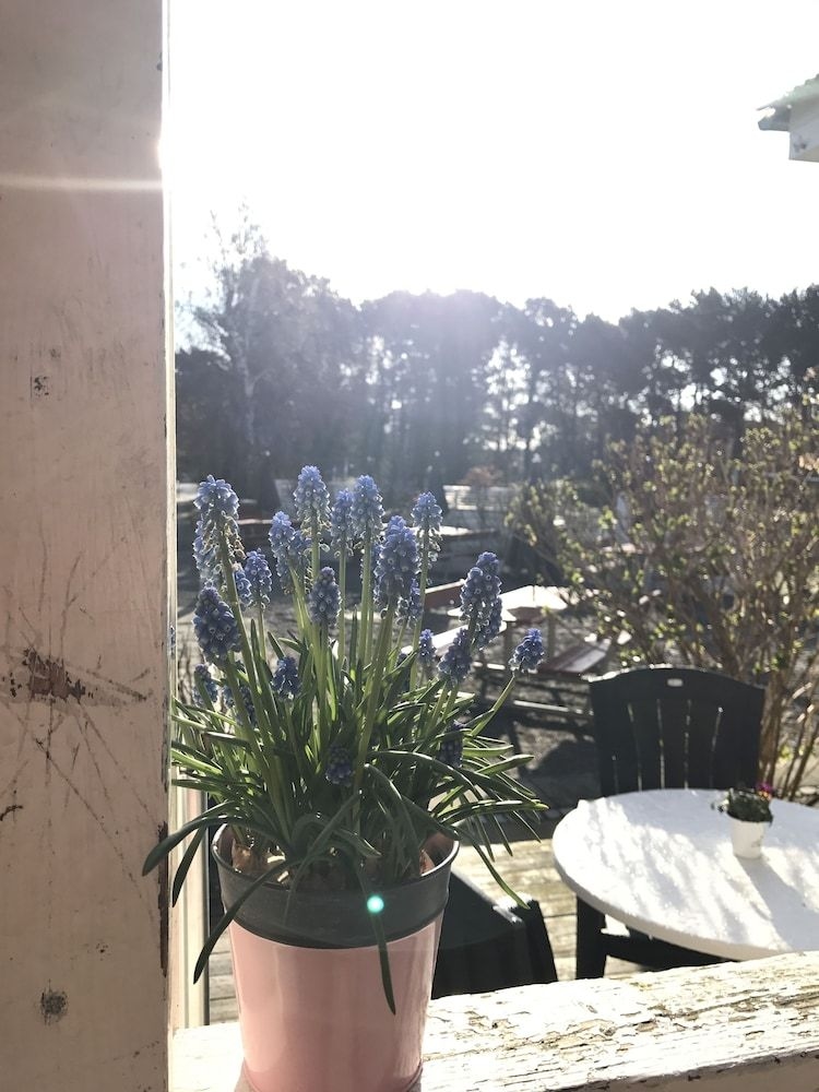 Danhostel Ronne0