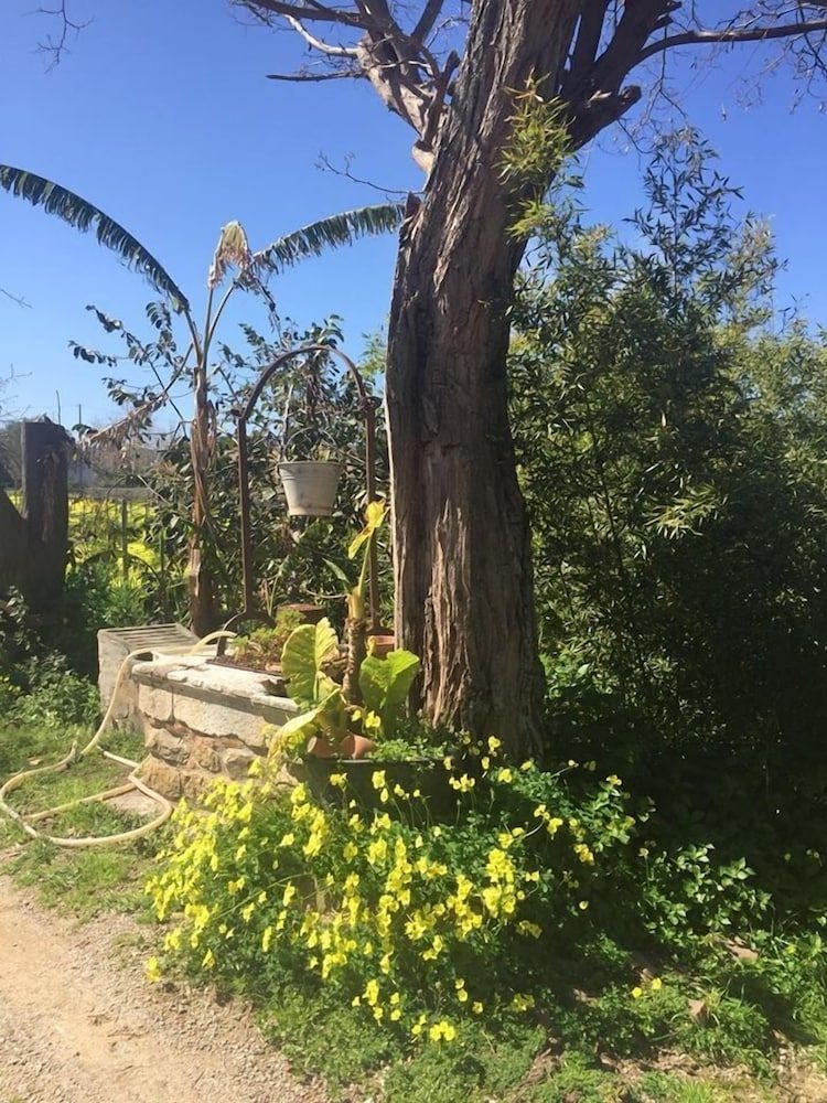 Villa Nicetta4