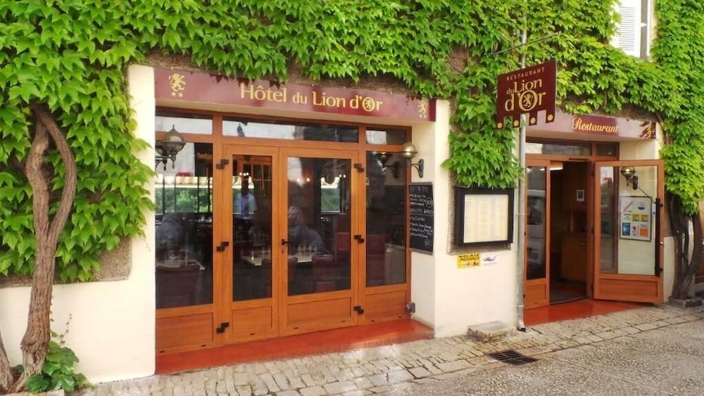 Hotel du Lion D'or1