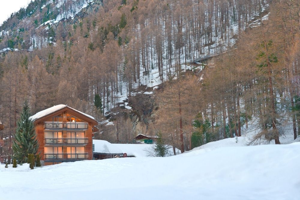 Chalet Altesse - Premium Apartments3