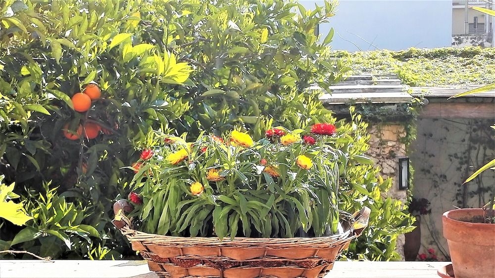 Antico Camino B&B1