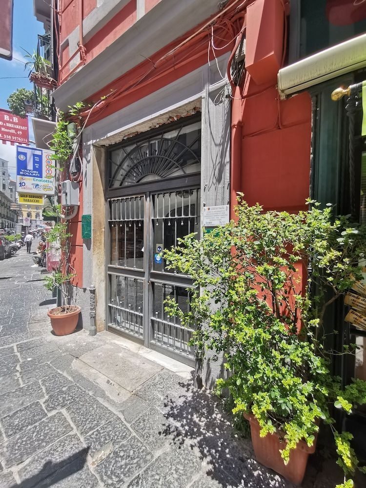 Bed & Breakfast Morelli 491