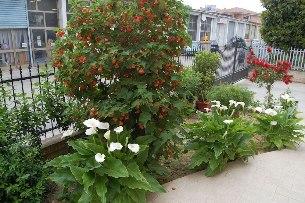 B&B La Tartaruga4